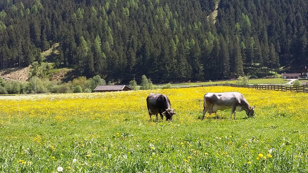 Landhaus Alpensonne Neustift im Stubaital Eksteriør billede