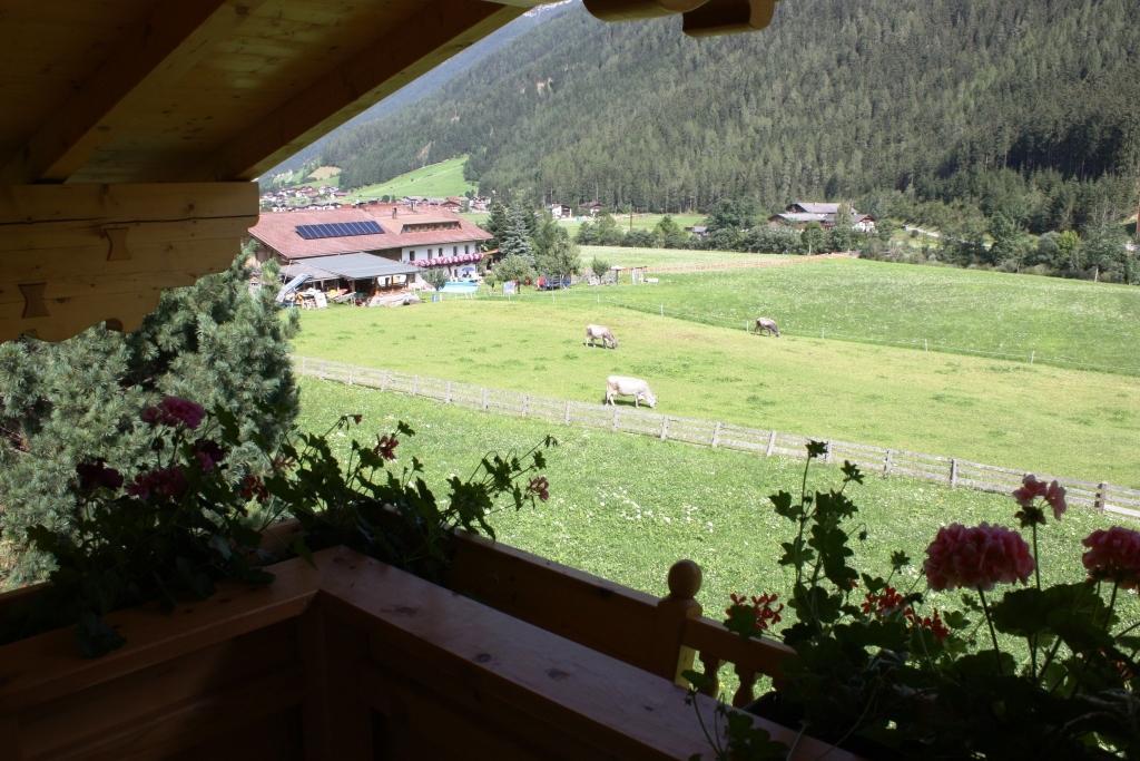 Landhaus Alpensonne Neustift im Stubaital Eksteriør billede