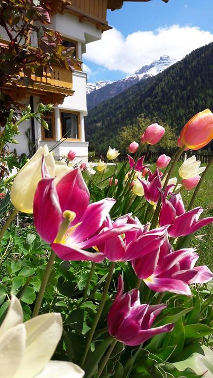 Landhaus Alpensonne Neustift im Stubaital Eksteriør billede